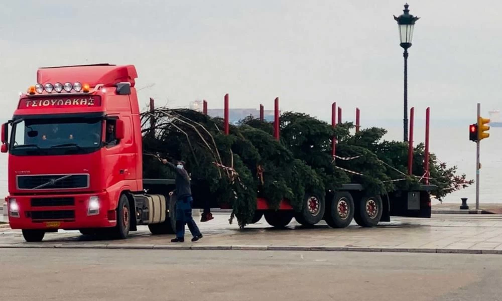 Θεσσαλονίκη: Ένα έλατο 18 μέτρων προκάλεσε μποτιλιάρισμα και μετά στήθηκε στην Αριστοτέλους